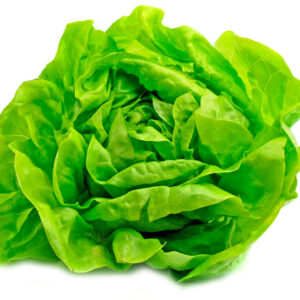 Lechuga